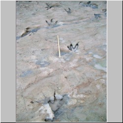 100_0725 (2009-27-07)m.JPG